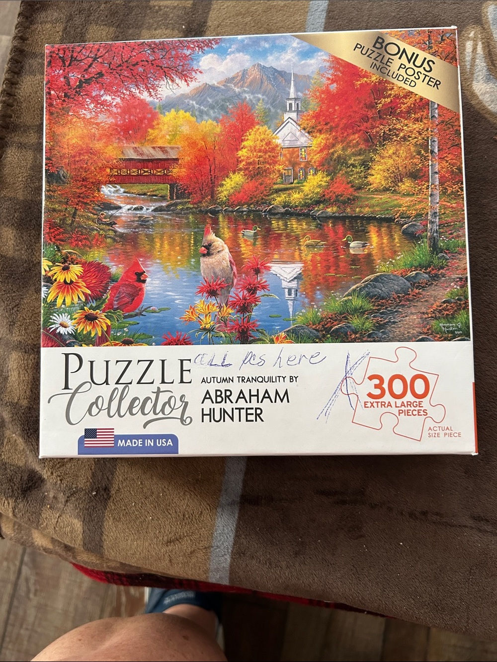 300 piece puzzle